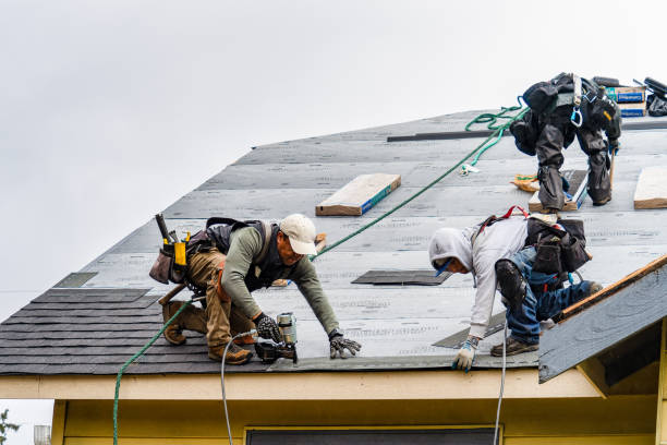 Professional Gutter Installation technician working in Columbia, TN